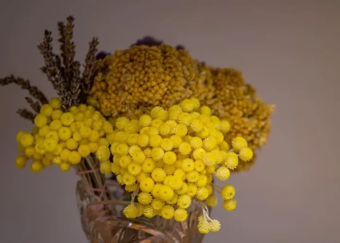 Bozena * Mali Lošinj